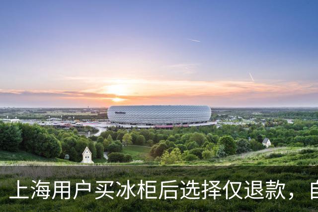 上海用户买冰柜后选择仅退款，自称冰柜"已销毁"无法退货，商家跨省索要后发现冰柜正插电使用，结局亮了
